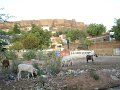140. Agra 3